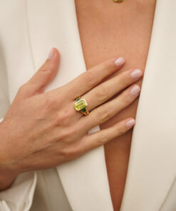 Alternative view of Anillo SARÍS