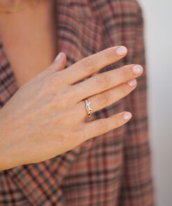 Alternative view of Anillo APRAIZ