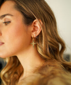 Alternative view of Pendientes COPERNICO