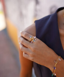 Alternative view of Anillo BEID