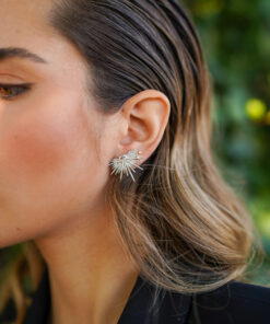 Alternative view of Pendientes CITALA PLATA