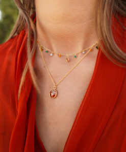 Alternative view of Collar ISESI