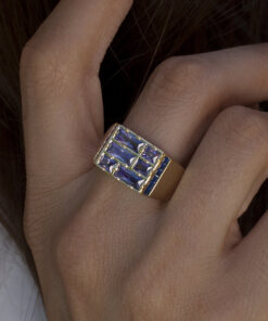 Alternative view of Anillo NILO