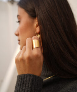 Alternative view of Anillo TUTANKHAMÓN