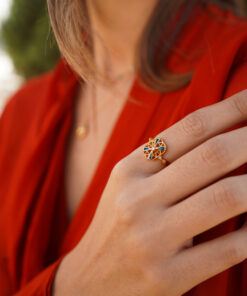 Alternative view of Anillo INTEF