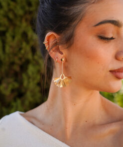 Alternative view of Pendientes SIAMÓN